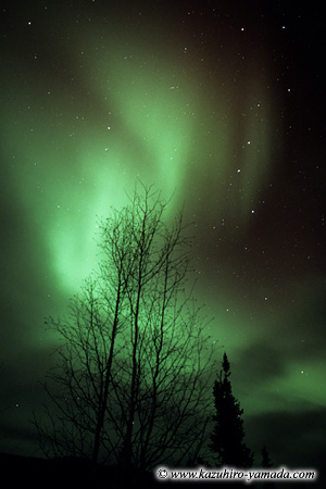 Aurora Borealis / �I�[����