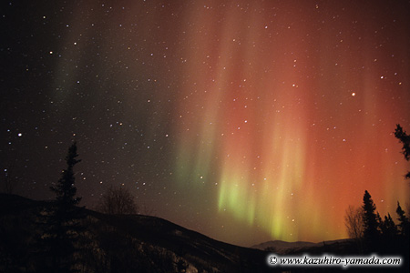 Aurora Borealis / �I�[����