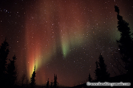 Aurora Borealis / �I�[����