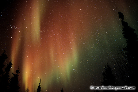 Aurora Borealis / �I�[����