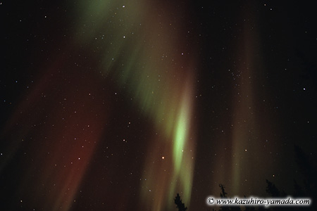 Aurora Borealis / �I�[����