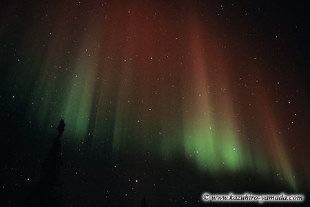 Aurora Borealis / �I�[����