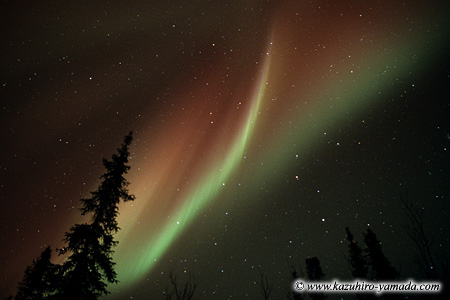 Aurora Borealis / �I�[����