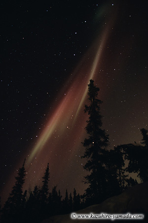 Aurora Borealis / �I�[����