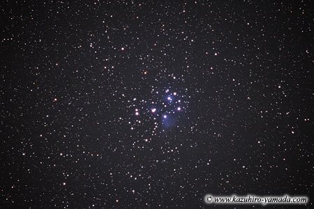 The Pleiades / ���΂�