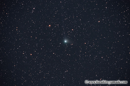 Comet Machholz (2004 Q2) / }bNzca