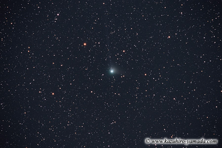 Comet Machholz (2004 Q2) / �}�b�N�z���c�a��
