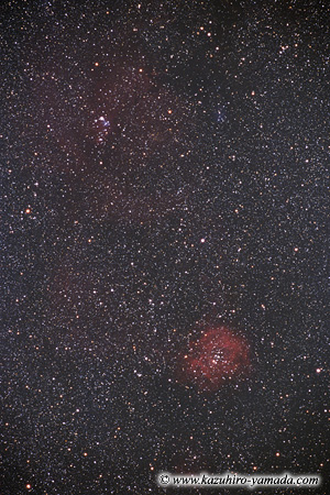 The Rosette Nebula / �΂琯�_