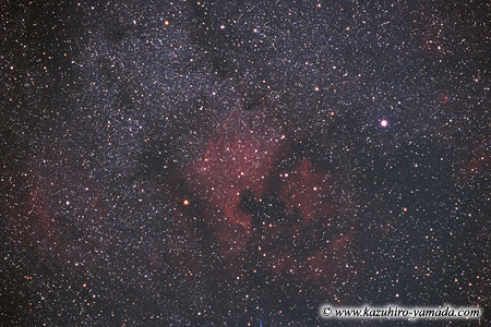The North America Nebula / �k�A�����J���_