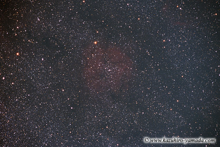 IC1396 and The Garnet Star / IC1396�ƃK�[�l�b�g�X�^�[