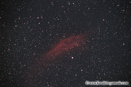 The California Nebula / �J���t�H���j�A���_