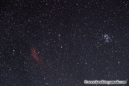 The Pleiades and The California Nebula / ΂ƃJtHjA_