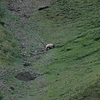 Denali National Park and Preserve / デナリ国立公園・保護区