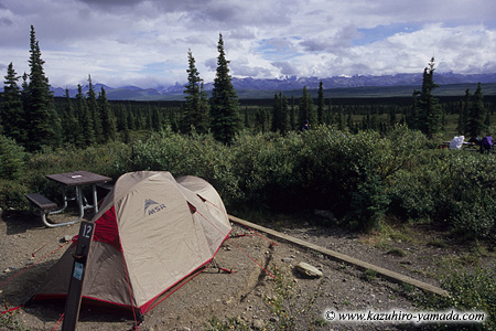 Denali National Park and Preserve / �f�i�����������E�ی��