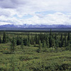 Denali National Park and Preserve / �f�i�����������E�ی��