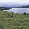 Denali National Park and Preserve / �f�i�����������E�ی��