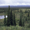 Denali National Park and Preserve / �f�i�����������E�ی��