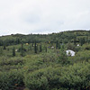 Denali National Park and Preserve / �f�i�����������E�ی��
