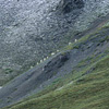 Denali National Park and Preserve / �f�i�����������E�ی��