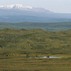 Denali National Park and Preserve / �f�i�����������E�ی��