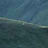 Denali National Park and Preserve / �f�i�����������E�ی��