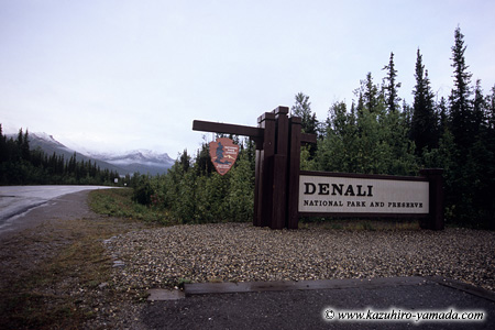 Denali National Park and Preserve / �f�i�����������E�ی��