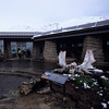 Denali National Park and Preserve / �f�i�����������E�ی��