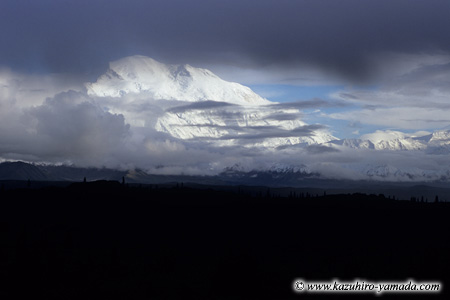 Denali National Park and Preserve / �f�i�����������E�ی��