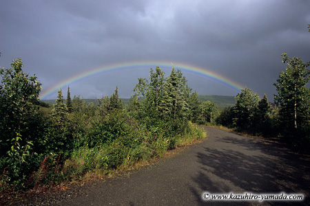 Denali National Park and Preserve / �f�i�����������E�ی��