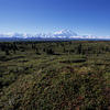 Denali National Park and Preserve / �f�i�����������E�ی��