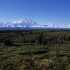 Denali National Park and Preserve / �f�i�����������E�ی��