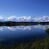 Denali National Park and Preserve / �f�i�����������E�ی��