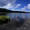 Denali National Park and Preserve / �f�i�����������E�ی��