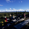 Denali National Park and Preserve / �f�i�����������E�ی��