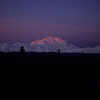 Denali National Park and Preserve / �f�i�����������E�ی��