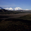 Denali National Park and Preserve / �f�i�����������E�ی��