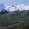 Denali National Park and Preserve / �f�i�����������E�ی��