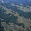 Denali National Park and Preserve / �f�i�����������E�ی��