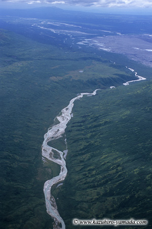 Denali National Park and Preserve / �f�i�����������E�ی��