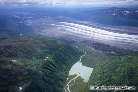 Denali National Park and Preserve / �f�i�����������E�ی��