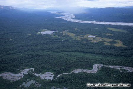 Denali National Park and Preserve / �f�i�����������E�ی��