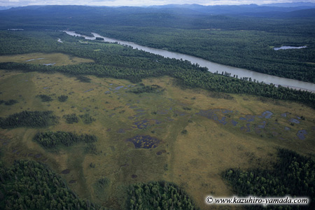 Denali National Park and Preserve / �f�i�����������E�ی��