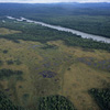 Denali National Park and Preserve / �f�i�����������E�ی��