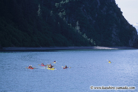Kenai Fjords National Park / �L�[�i�C�t�B�����h��������