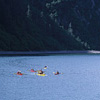 Kenai Fjords National Park / �L�[�i�C�t�B�����h��������