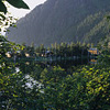Kenai Fjords National Park / �L�[�i�C�t�B�����h��������