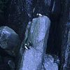 Kenai Fjords National Park / �L�[�i�C�t�B�����h��������