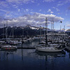 Kenai Fjords National Park / �L�[�i�C�t�B�����h��������