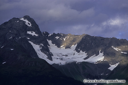 Kenai Fjords National Park / �L�[�i�C�t�B�����h��������