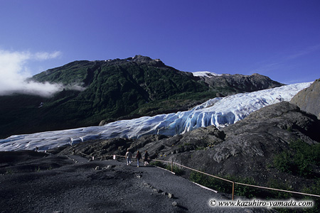 Kenai Fjords National Park / �L�[�i�C�t�B�����h��������